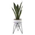 Conservatorio 1.75 ft. Snake Plant in Marble on Metal Stand CO2578378